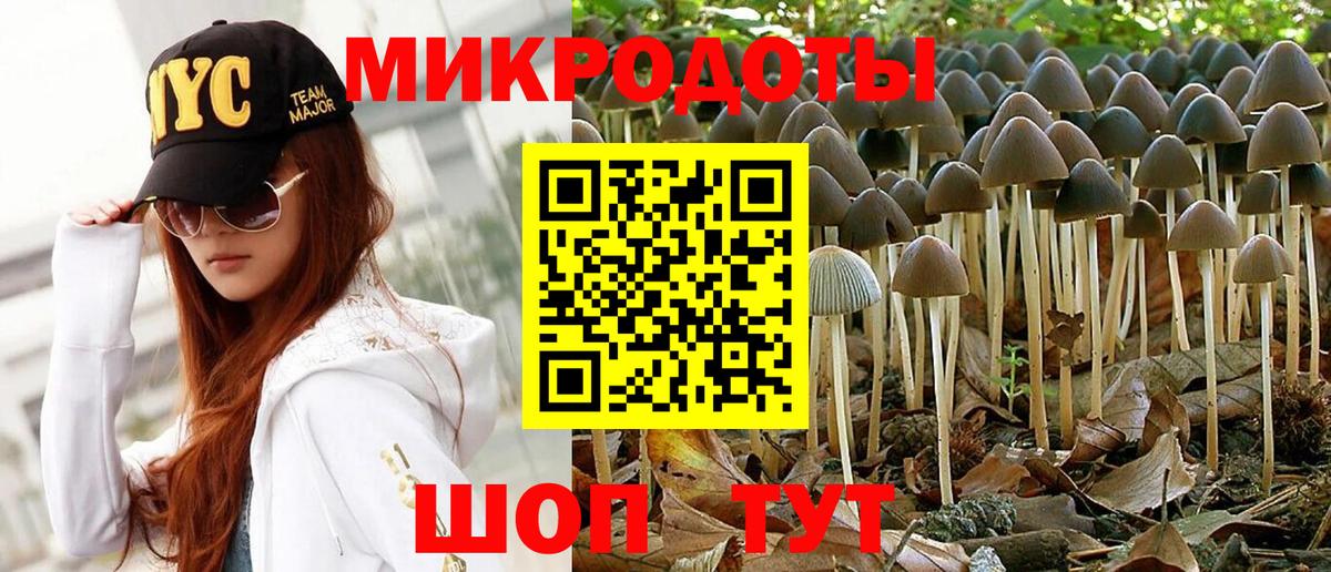 Псилоцибиновые грибы GOLDEN TEACHER Семёнов